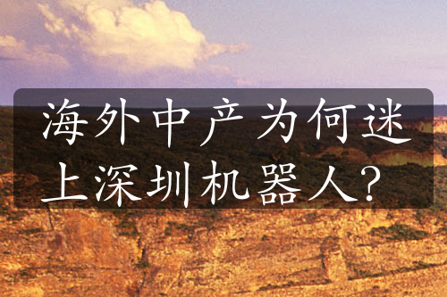 海外中產(chǎn)為何迷上深圳機(jī)器人？