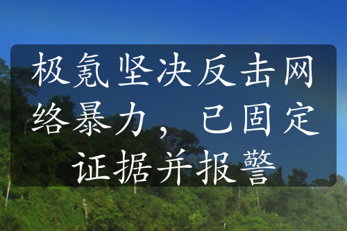 極氪堅決反擊網絡暴力，已固定證據(jù)并報警