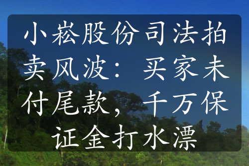 小崧股份司法拍賣風(fēng)波：買家未付尾款，千萬保證金打水漂