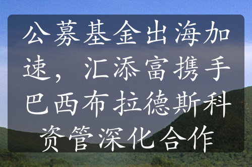 公募基金出海加速，匯添富攜手巴西布拉德斯科資管深化合作