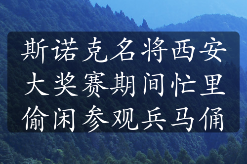 斯諾克名將西安大獎(jiǎng)賽期間忙里偷閑參觀兵馬俑