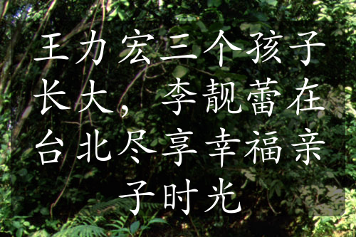 王力宏三個孩子長大，李靚蕾在臺北盡享幸福親子時光