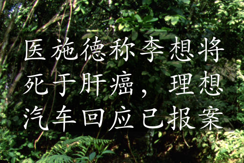 醫(yī)施德稱李想將死于肝癌，理想汽車回應已報案
