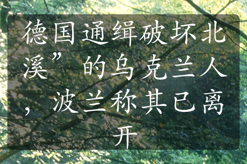 德國通緝破壞北溪”的烏克蘭人，波蘭稱其已離開
