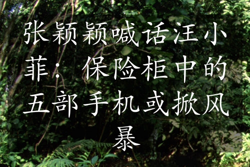 張穎穎喊話汪小菲：保險柜中的五部手機或掀風暴