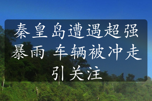 秦皇島遭遇超強暴雨 車輛被沖走引關注