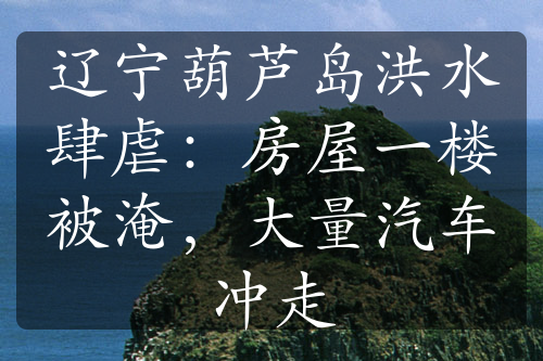 遼寧葫蘆島洪水肆虐：房屋一樓被淹，大量汽車沖走
