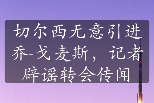 切爾西無意引進喬-戈麥斯，記者辟謠轉(zhuǎn)會傳聞