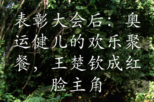 表彰大會(huì)后：奧運(yùn)健兒的歡樂聚餐，王楚欽成紅臉主角
