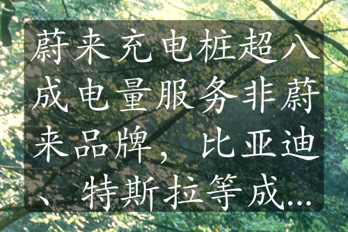 蔚來(lái)充電樁超八成電量服務(wù)非蔚來(lái)品牌，比亞迪、特斯拉等成主要用戶(hù)