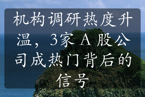 機(jī)構(gòu)調(diào)研熱度升溫，3家 A 股公司成熱門背后的信號(hào)
