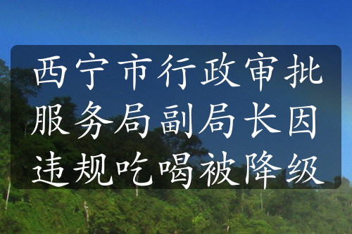 西寧市行政審批服務局副局長因違規(guī)吃喝被降級