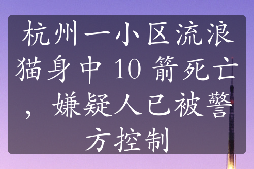 杭州一小區(qū)流浪貓身中 10 箭死亡，嫌疑人已被警方控制