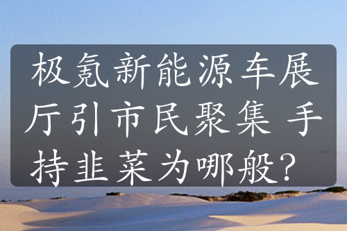 極氪新能源車展廳引市民聚集 手持韭菜為哪般？