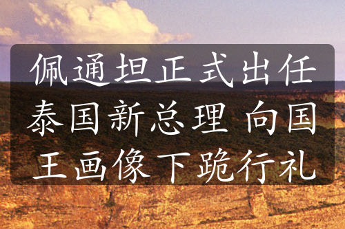 佩通坦正式出任泰國新總理 向國王畫像下跪行禮