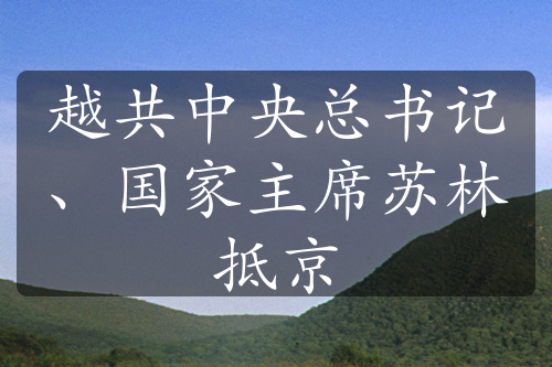 越共中央總書(shū)記、國(guó)家主席蘇林抵京