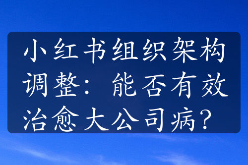 小紅書組織架構(gòu)調(diào)整：能否有效治愈大公司?。?><span></span></a>
                            </div>
                            <p><a href=