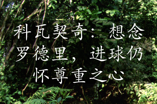 科瓦契奇：想念羅德里，進(jìn)球仍懷尊重之心