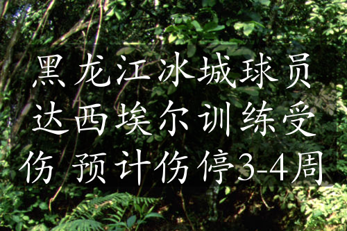 黑龍江冰城球員達(dá)西埃爾訓(xùn)練受傷 預(yù)計(jì)傷停3-4周