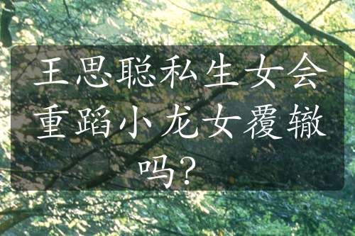 王思聰私生女會重蹈小龍女覆轍嗎？