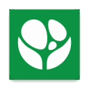 大家點(diǎn)