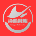 龍血樹忌什么屬相