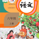 楊志波
