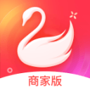 圖觀