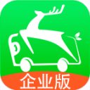 親子貓