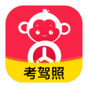 離型紙