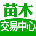 齊立強(qiáng)