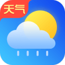 雞蛋青菜面