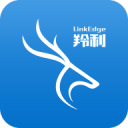 齊驅(qū)