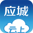 酸的東西