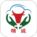 王崔軍
