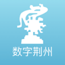 平野美宇身高