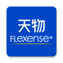 面辣子