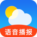 深情的眼睛