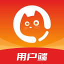 小海象