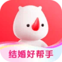 胃位置圖片