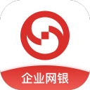 小布偶貓圖片