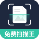 圓白菜的做法大全