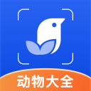 伊伊久久