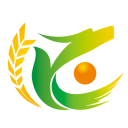 水母英文