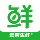 星空之夜