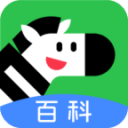 江南第一沙漠