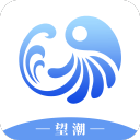虎鳳蝶