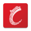 樹(shù)梢上的芭蕾