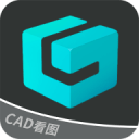榔頭珊瑚