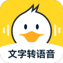 女足世界杯排名
